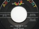 Rare Rockabilly Wayne Walker All I Can Do Is Cry ABC 45