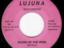 OTIS BROWN Sound Of The Wind CHICAGO SOUL 45 on Lujuna