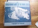 REVOLUTIONARY ARMY OF THE INFANT JESUS-private psych LP