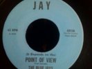 the blue jays - point of view - jay