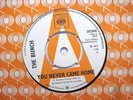 The Bunch - You Never Came Home UK 7