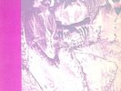 B.F.TRIKE S/T  US 70's acid rock,  Rockadelic Rare LP