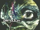 PENDULUM /FRESH Tarantula/Fasten Your Seatbelt PIC DISC