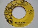 AND THE ECHOES - Always Wanted Someone - SOULTRAIN