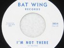 RARE Garage 45 LIL' BOYS BLUE I'm Not There  Bat wing