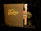 * * PEARL JAM VITALOGY LP RARE Original US 1994 VG++