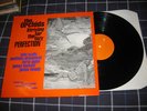 The Orchids - Striving for Perfection UK Indie LP SARAH