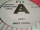 ANDY CAVELL andy UK PYE DEMO JOE MEEK RGM MINT#####