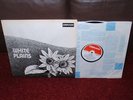WHITE PLAINS 1st LP 1970 DERAM 1st Press SUPERB