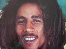 Bob Marley & The Wailers - African Herbsman (LP) VG