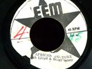 Jah Lloyd & Bingy Bunny - African Culture JA 45 Listen