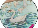 Boy Soprano Nonkina Swan Kagome Japan Picture Disc
