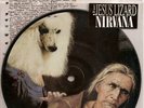 NIRVANA JESUS LIZARD AUSTRALIA 7