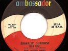 1960s Garage 45 - THE LOVED ONES  Surprise  AMBASSADOR