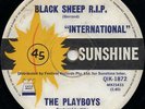 PLAYBOYS “BLACK SHEEP R.I.P.” AUSSIE PSYCH BEAST