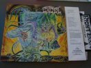 Excel - Split Image LP HC Thrash Suicidal Tendencies