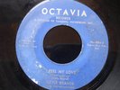 LITTLE BEAVER i feel my love OCTAVIA MIAMI FUNK 45 HEAR