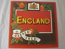 RARE ENGLAND GARDEN SHED LP PROG 1988 ARISTA JAPAN