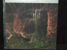 GRAVE Into The Grave LP morgoth pungent stench asphyx