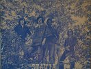 BROTHERHOOD - STAVIA - ORIGINAL PRIVATE PSYCH MONSTER 