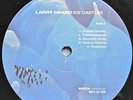 Larry Heard Ice Castles LP Mr Fingers Derrick Carter