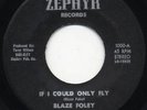 Rare Country Folk 45-Blaze Foley-If I Could Only Fly-M-