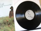 Vertigo Swirl Ian Carr-Belladonna- Vertigo6360-076