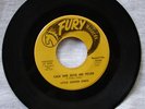 LITTLE JUNIOR LEWIS CAN SHE GIVE ME FEVER FURY LABEL