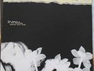 HOPE SANDOVAL Bavarian Fruit Bread ROUGH TRADE Mint LP