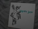 TIGERS JAW LP PHOTOBOOTH RECORDS TITLE FIGHT OOP POP