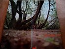 RARE 1969 UK Orig FAT MATTRESS   Popsike Psych HENDRIX