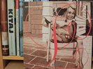 Lambchop - I Hope You're Sitting Down *original Vinyl