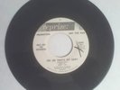 HALE & THE HUSHABYES 45 dj reprise RARE BRIAN WILSON