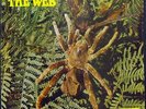 THE WEB Theraophosa Blondi LP UK DERAM RARE PSYCH NM