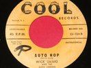 WICK GRAIG & THE AUTO CHORDS 