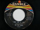 DEE DEE SHARP What Kind Of Lady NORTHERN SOUL 45 HEAR