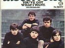 SORROWS Youve Got What I Want 1965 UK export 45
