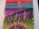 Wildflowers – The Complete 5 Volumes