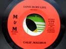 Rare 70s Northern Soul - Calif Malibus - M-
