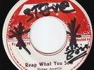 Peter Austin - Reap What You Sow - SOUND MAN BUSINESS ?