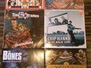 Rock´n Roll Psychobilly Vinyl LP Thee Flanders Bones