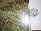 Ian Carr LP Belladonna - Vertigo Swirl UK 1972