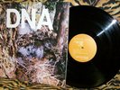 DNA   A Taste Of DNA EP No Wave 1981 Near Mint Lindsay