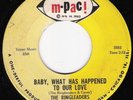 Northern Soul 45 RINGLEADERS Baby What Has Happened