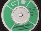 Our Plastic Dream - A Little Bit Of Shangrila PSYCH