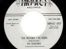 THE VOLUMES THAT SAME OLD FEELING/TROUBLE I'VE SEEN NM-