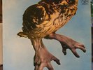 BRAINCHILD Healing Of The Lunatic Owl LP UK A&M