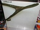 WISHBONE ASH 