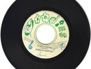 SHENLEY DUFFUS - TO BE A LOVER - GOODIES