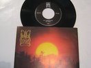 Dimmu Borgir Inn I Evighetens Mørke Vinyl 7'' Rar BM